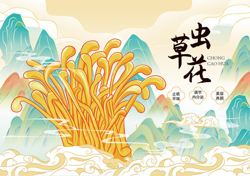 虫草花包装