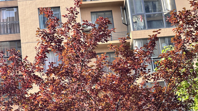 城市一角