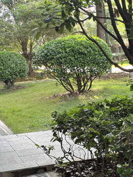 小区景观