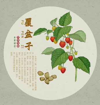 覆盆子