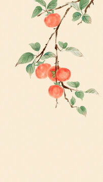 柿子插画