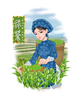 农家采茶女