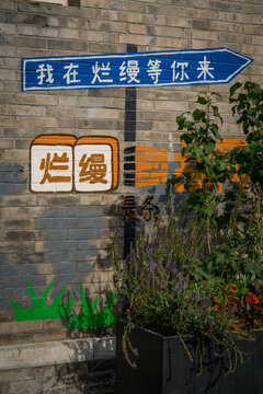烂漫胡同