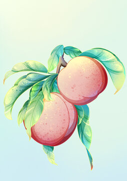 国潮水蜜桃插画