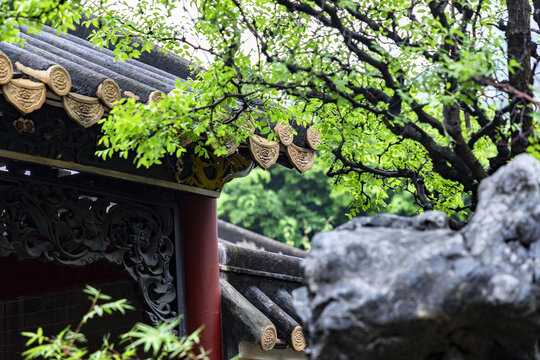 园林小景