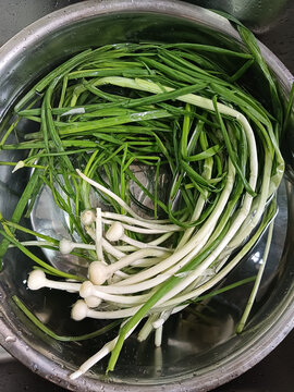 野葱