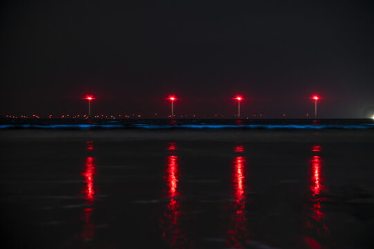 蓝眼泪景观