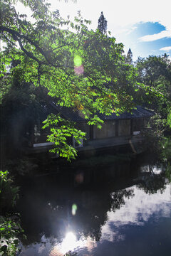湖边风光
