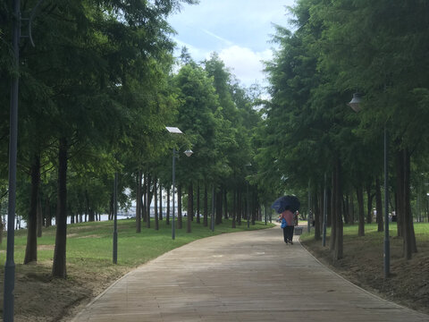 清远南岸公园