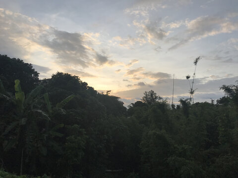 家乡风景