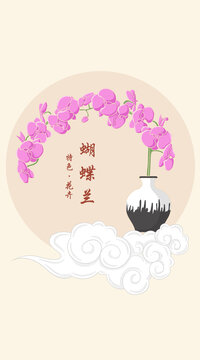 手绘蝴蝶兰