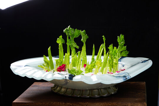 水果芹菜色拉