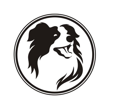 卡通可爱边牧头像矢量图