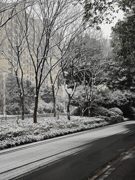 雪后街道