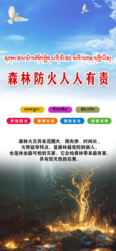 森林防火人人有责