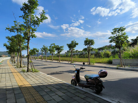 乡村公路路边