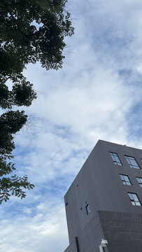 蓝天白云
