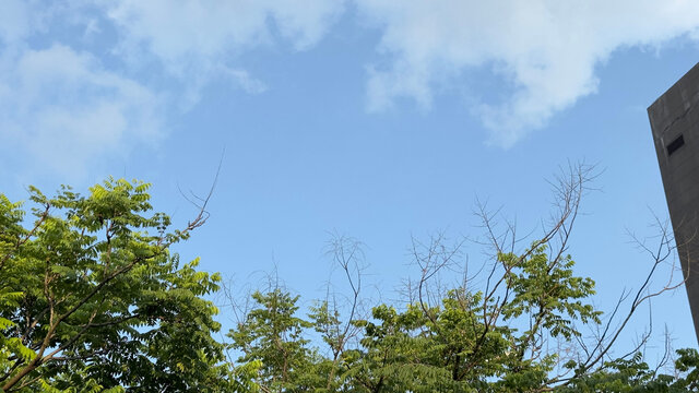 晴空