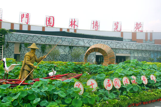 荷花