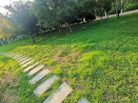 公园中的路