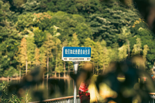 文艺路牌