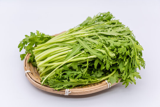 室内棚拍新鲜的茼蒿