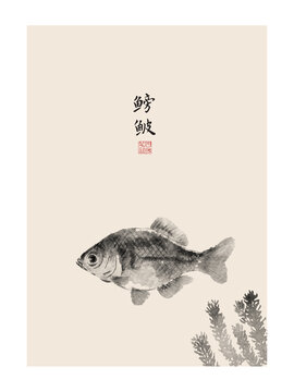 鳑鲏水墨画