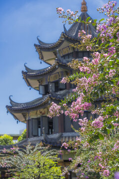 余荫山房