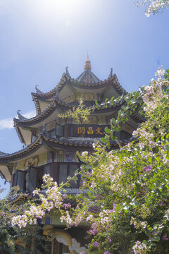 余荫山房