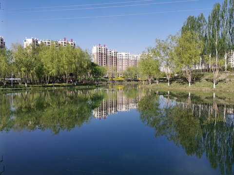 公园