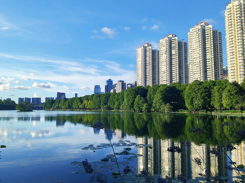 湖边建筑