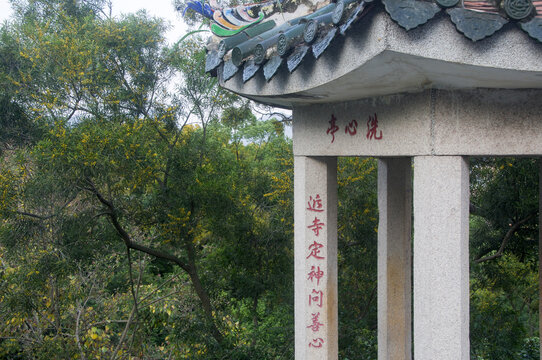 丰州石亭寺洗心亭