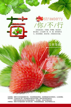 莓你不行