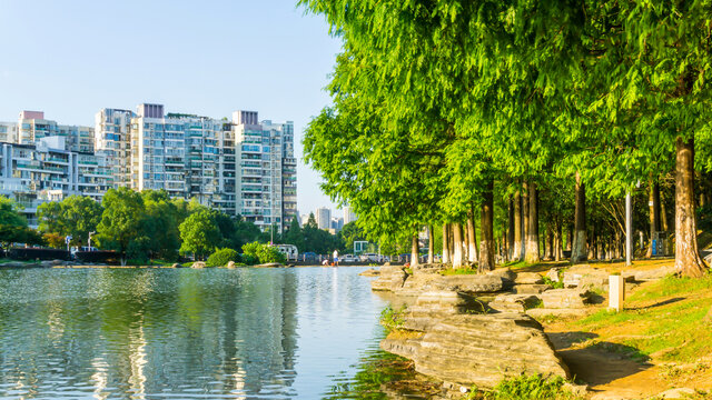 湖畔风景