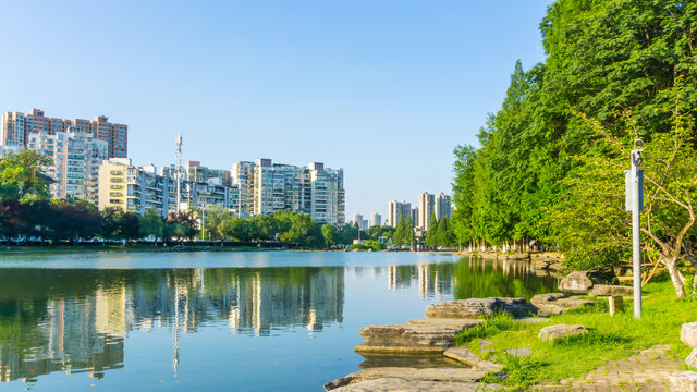 湖畔风景