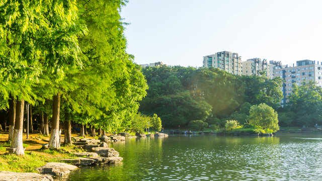公园风景