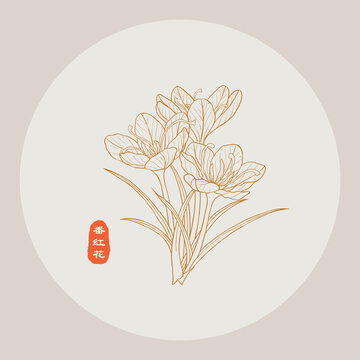 番红花线描