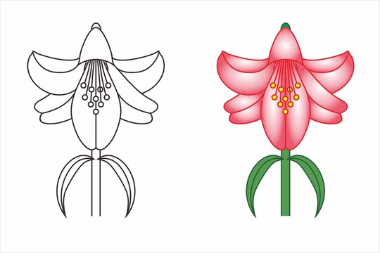 百合花形设计