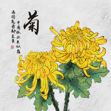国画菊花
