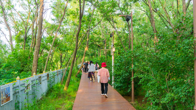 鸽子窝公园风景