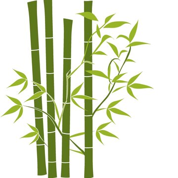 国画竹子