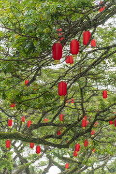 新春小镇