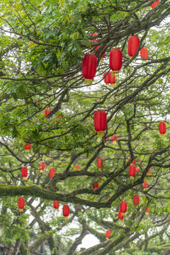 新春小镇