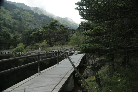 螺髻山大海子