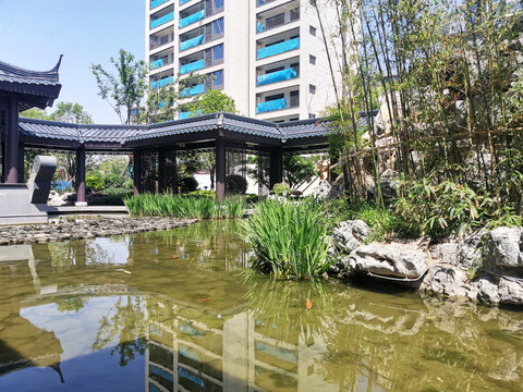 园林水系景观