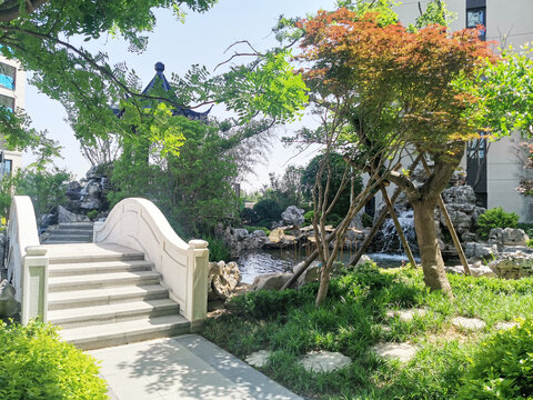 水系景观特写