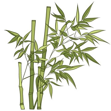 竹子素材