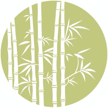 清雅竹子素材