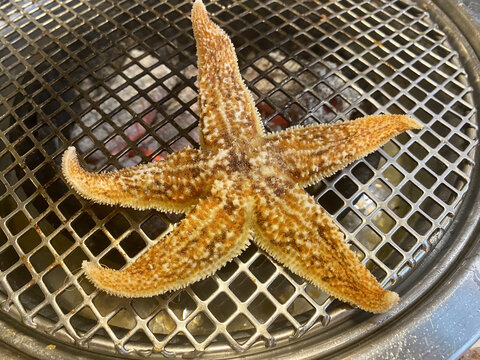烧烤海星