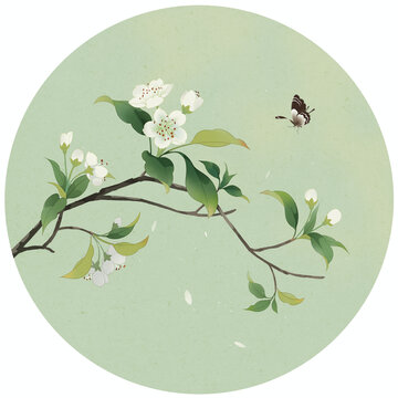 古风梨花插画